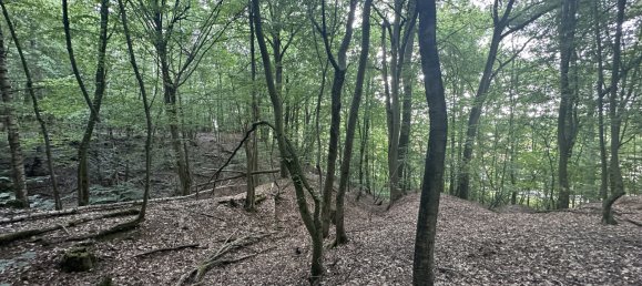 Grundstück in Schwandorf, Germany, Nr. 38305 5