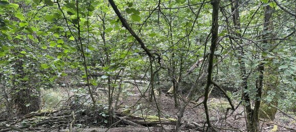 Grundstück in Schwandorf, Germany, Nr. 38305 9