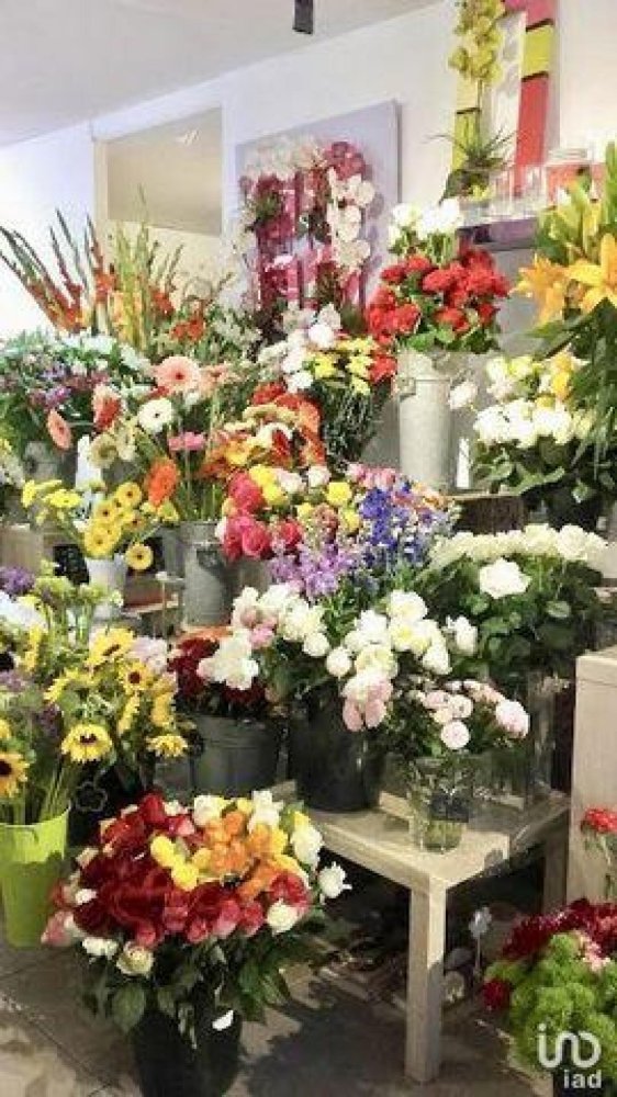 98m² Office in Perpignan, France No. 19742