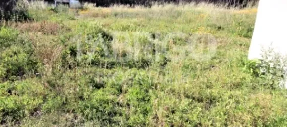 7 bedrooms House in Leiria, Portugal No. 152717 46