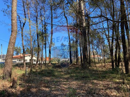 Grundstück in Vila Verde, Portugal 2895m², Nr. 34376