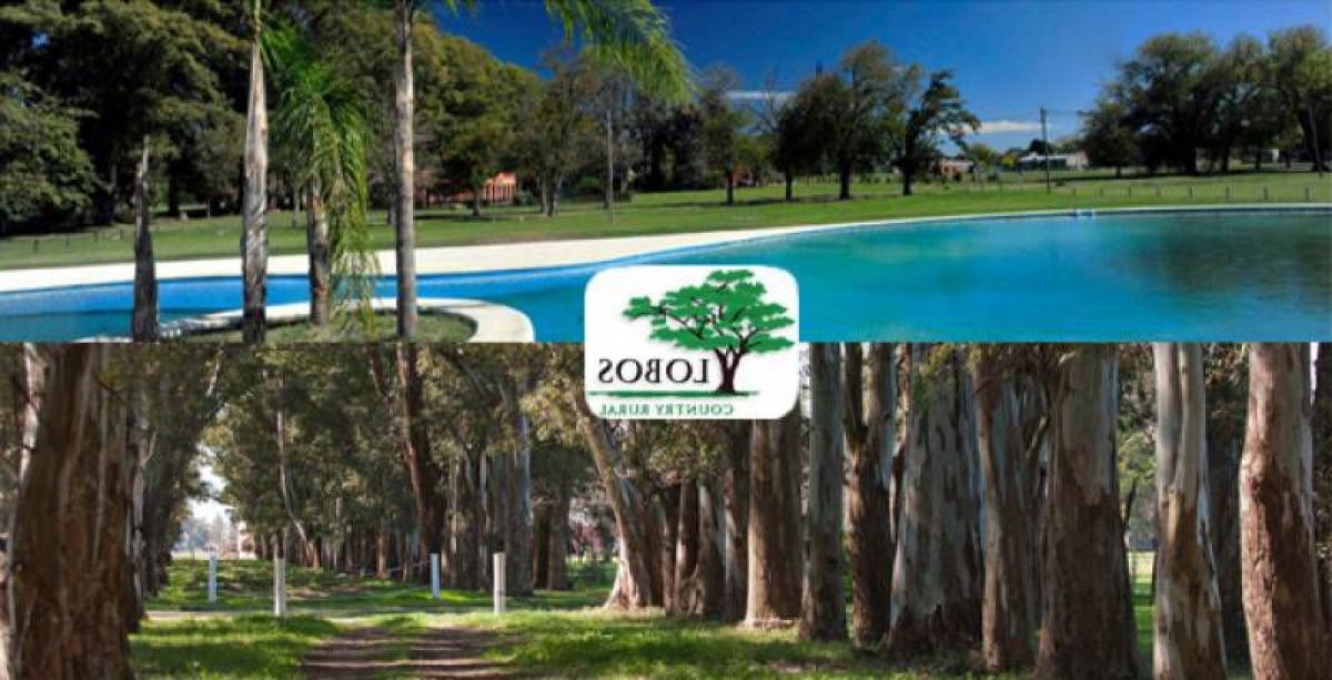 Grundstück in Lobos, Argentina, Nr. 36119