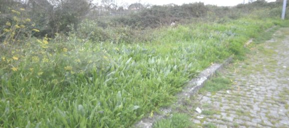 Terrain à Argoncilhe, Portugal 1513m² No. 70577 6