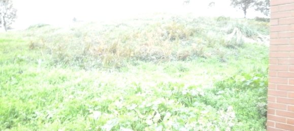 Terrain à Argoncilhe, Portugal 1513m² No. 70577 4