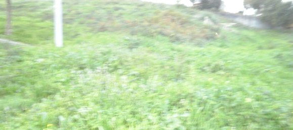 Terrain à Argoncilhe, Portugal 1513m² No. 70577 5