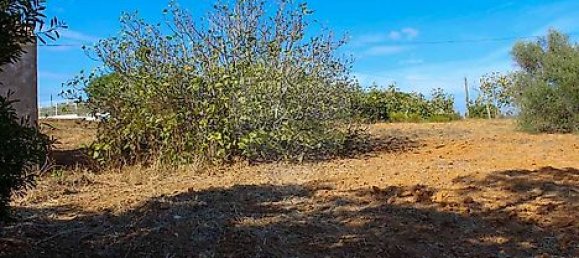 Casa de 3 dormitorios en Lagoa, Portugal No. 25592 18