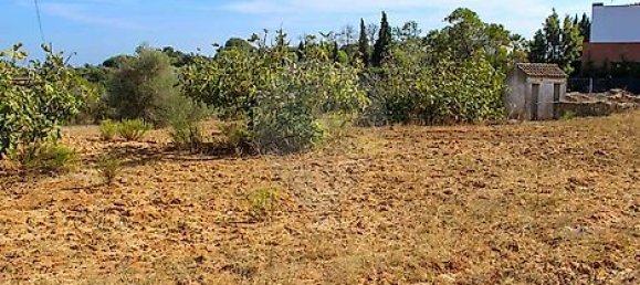 Casa de 3 dormitorios en Lagoa, Portugal No. 25592 23