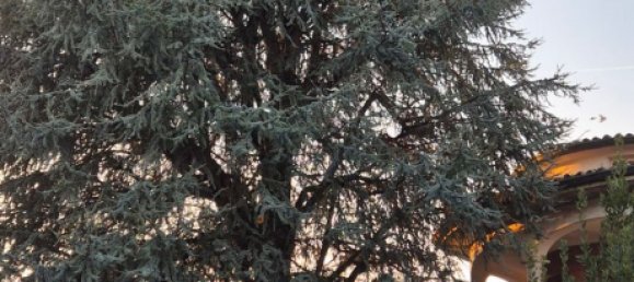 7-Zimmer Villa in Romanengo, Italy, Nr. 224941 5