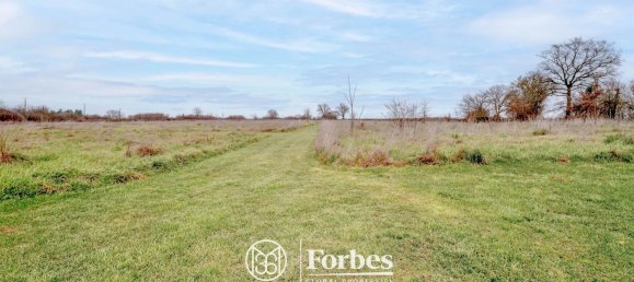 3 chambres Maison à Lignières, France No. 73490 9