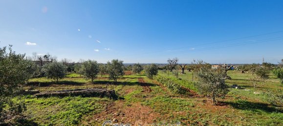 Villa de 3 habitaciónes en Taurisano, Italy No. 235114 17