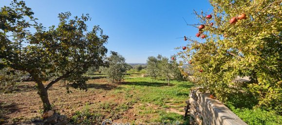 Villa de 3 habitaciónes en Taurisano, Italy No. 235114 15