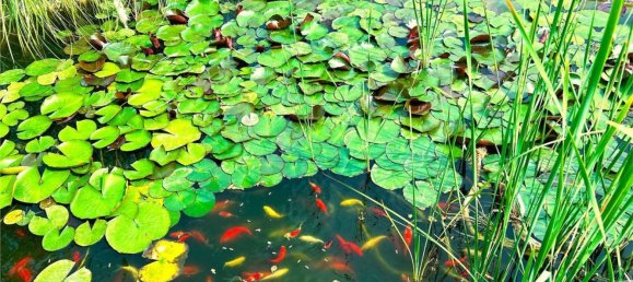 9-salle Villa à Sassari, Italy No. 221255 10