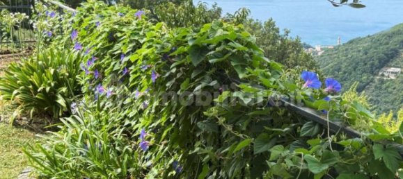 3 Schlafzimmer Villa in Moneglia, Italy, Nr. 279806 7