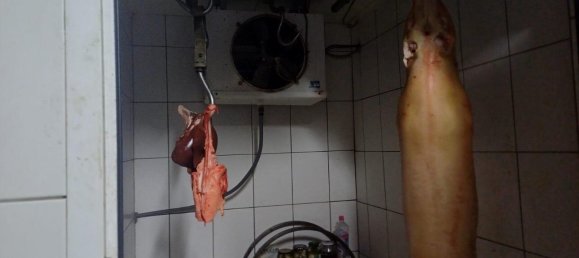 2 Schlafzimmer Bauernhof in Vorpommern-Greifswald, Germany, Nr. 312534 12