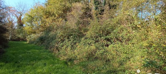 Terrain à Pruniers-en-Sologne, France 51827m² No. 213855 10