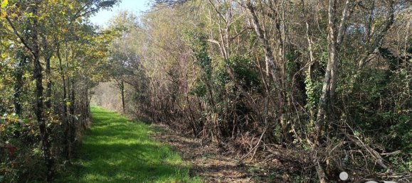 Terrain à Pruniers-en-Sologne, France 51827m² No. 213855 2