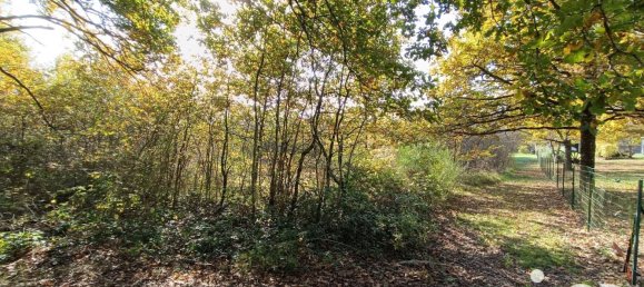 Terrain à Pruniers-en-Sologne, France 51827m² No. 213855 12