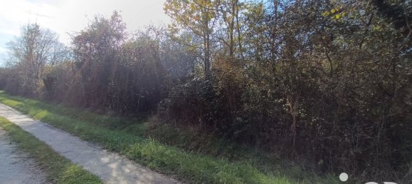 Terrain à Pruniers-en-Sologne, France 51827m² No. 213855 8