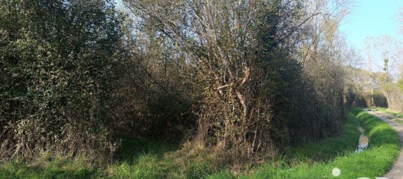 Terrain à Pruniers-en-Sologne, France 51827m² No. 213855 6