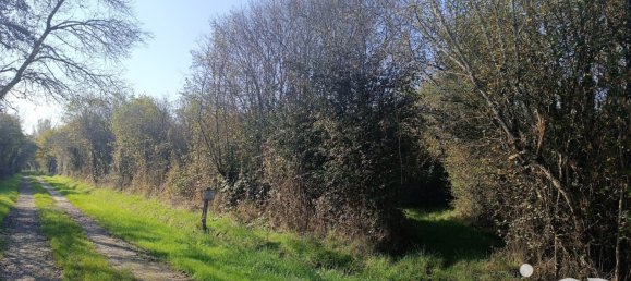 Terrain à Pruniers-en-Sologne, France 51827m² No. 213855 7