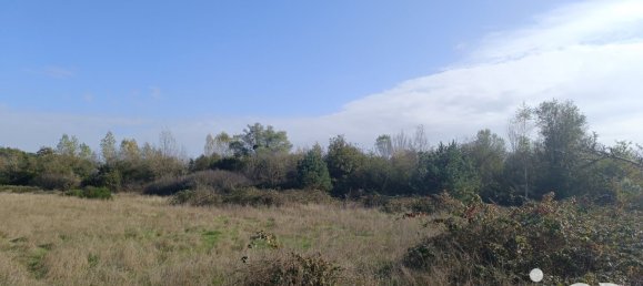Terrain à Pruniers-en-Sologne, France 51827m² No. 213855 4