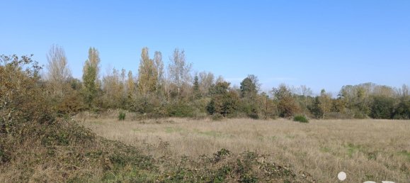 Terrain à Pruniers-en-Sologne, France 51827m² No. 213855 3