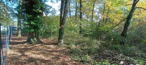 Terrain à Pruniers-en-Sologne, France 51827m² No. 213855 11