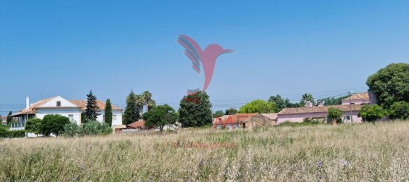 Grundstück in Coimbra, Portugal 8700m², Nr. 144426 14