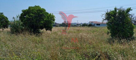 Grundstück in Coimbra, Portugal 8700m², Nr. 144426 7