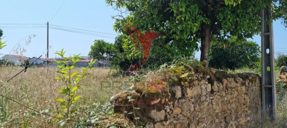 Grundstück in Coimbra, Portugal 8700m², Nr. 144426 5