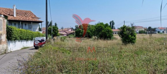 Grundstück in Coimbra, Portugal 8700m², Nr. 144426 8