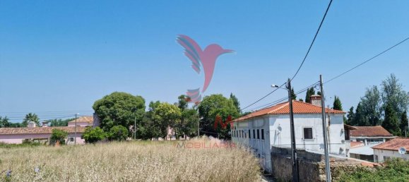 Grundstück in Coimbra, Portugal 8700m², Nr. 144426 16