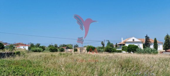 Grundstück in Coimbra, Portugal 8700m², Nr. 144426 15