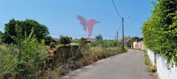 Grundstück in Coimbra, Portugal 8700m², Nr. 144426 10