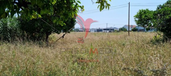 Grundstück in Coimbra, Portugal 8700m², Nr. 144426 11