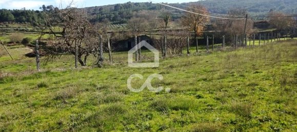 5 Schlafzimmer Haus in Mangualde, Portugal, Nr. 92291 7