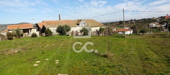 5 Schlafzimmer Haus in Mangualde, Portugal, Nr. 92291 6