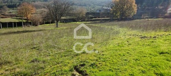 5 Schlafzimmer Haus in Mangualde, Portugal, Nr. 92291 5