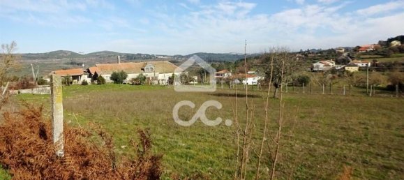 5 Schlafzimmer Haus in Mangualde, Portugal, Nr. 92291 4