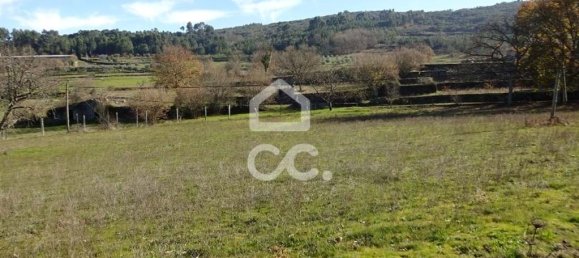 5 Schlafzimmer Haus in Mangualde, Portugal, Nr. 92291 3