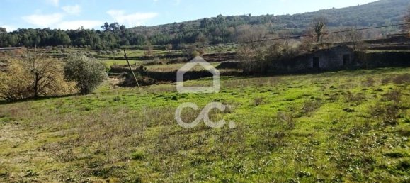 5 Schlafzimmer Haus in Mangualde, Portugal, Nr. 92291 8