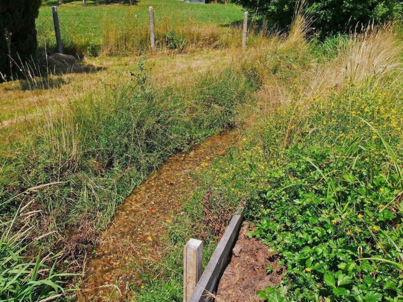 11-Zimmer Hotel in Passau, Germany, Nr. 281915