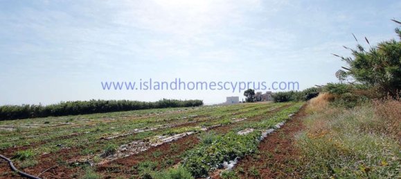 Grundstück in Paralimni, Cyprus, Nr. 24075 3
