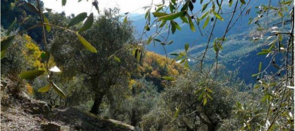 2 bedrooms House in Dolceacqua, Italy No. 103 2