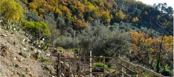 2 bedrooms House in Dolceacqua, Italy No. 103 4