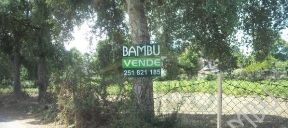 Terreno em Valença, Portugal 2840 m² N.º 56066 4