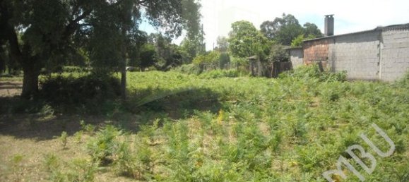 Terreno em Valença, Portugal 2840 m² N.º 56066 6