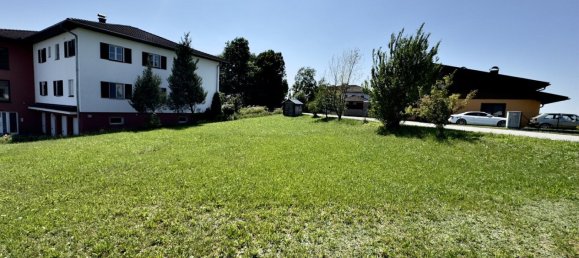  Land in Tarsdorf, Austria No. 221673 3