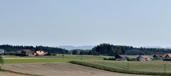  Land in Tarsdorf, Austria No. 221673 8