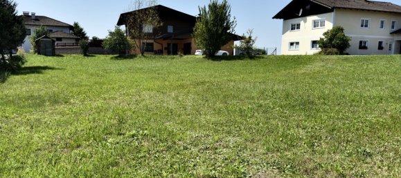  Land in Tarsdorf, Austria No. 221673 7